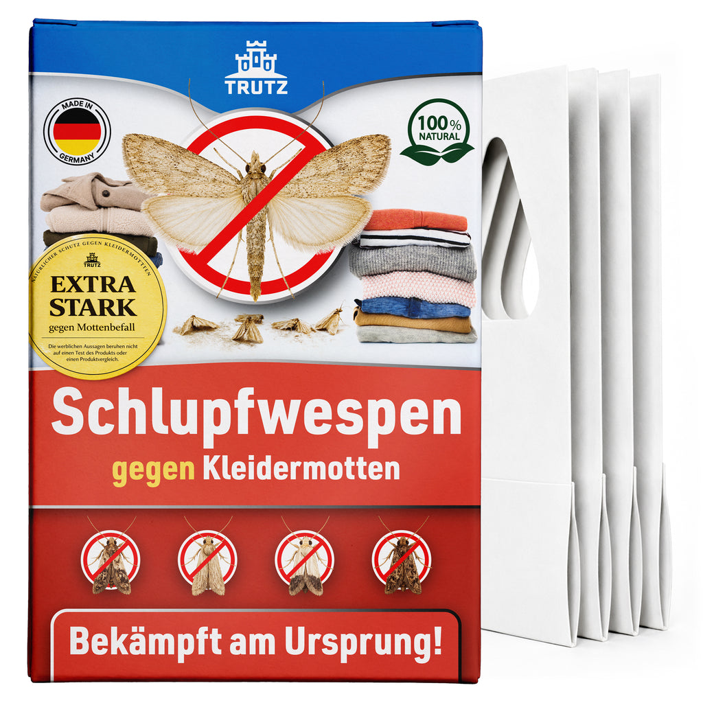 Schlupfwespen gegen Kleidermotten
