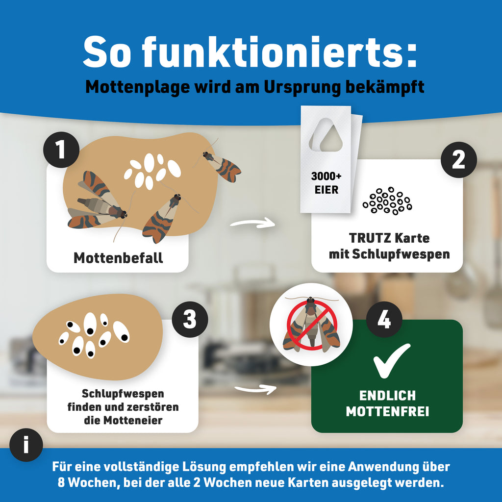 Schlupfwespen gegen Lebensmittelmotten