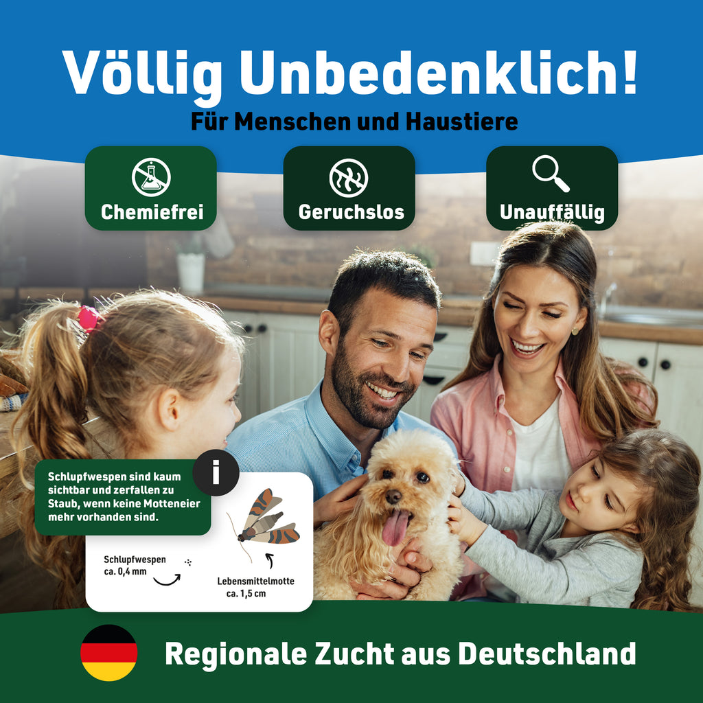 Schlupfwespen gegen Lebensmittelmotten