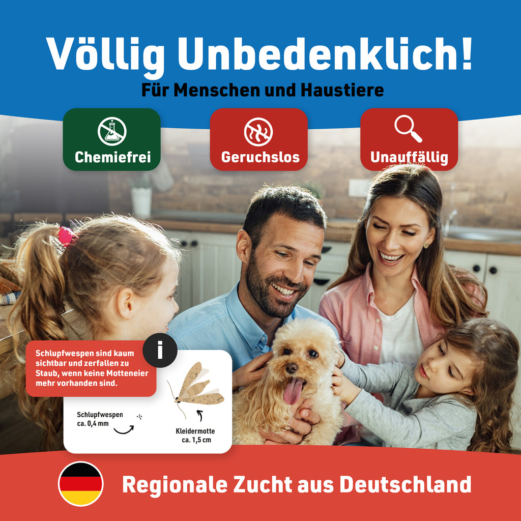 Schlupfwespen gegen Kleidermotten