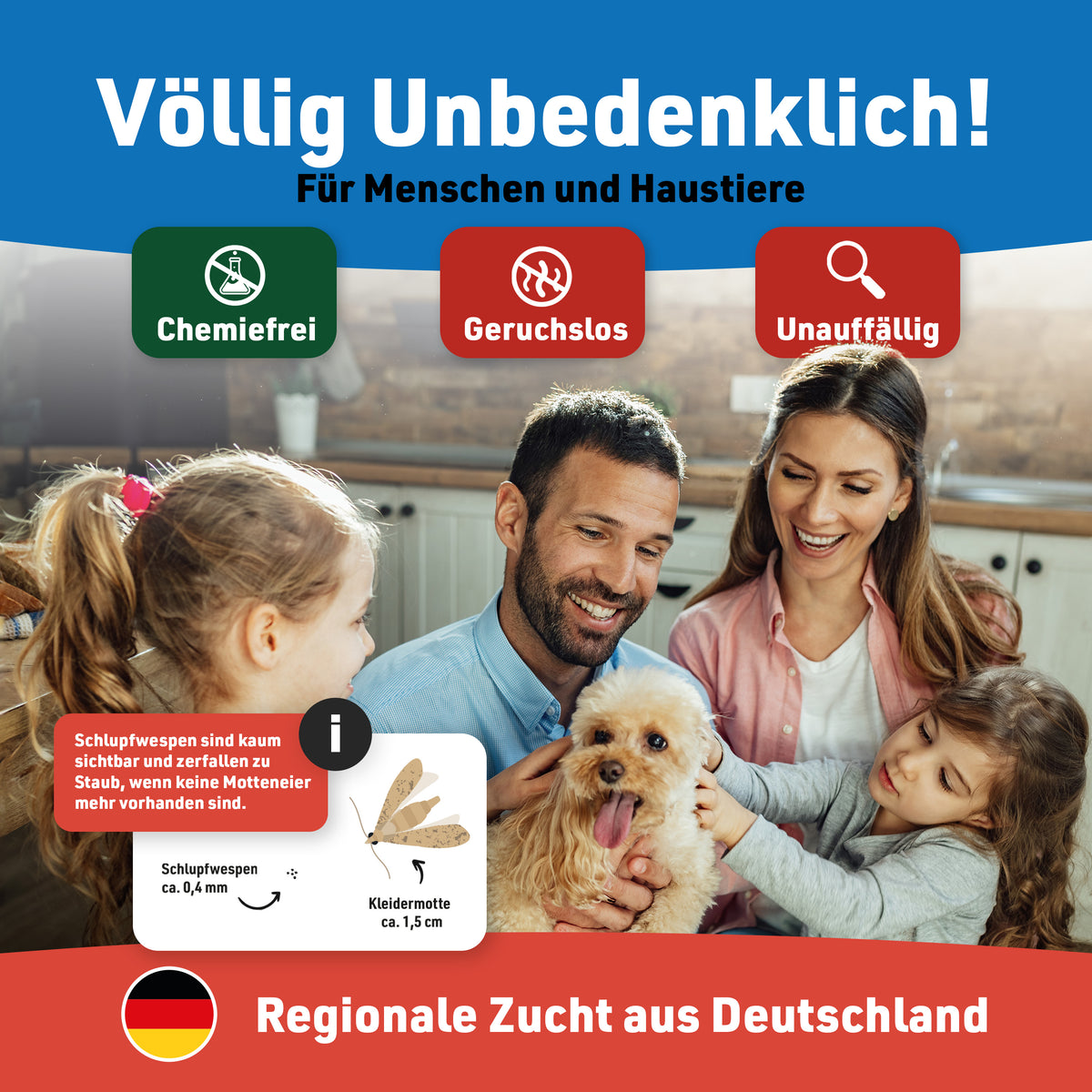 Schlupfwespen gegen Kleidermotten