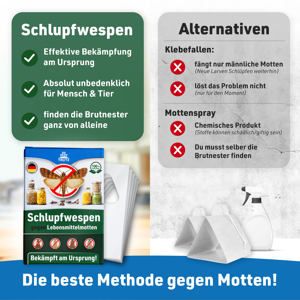 Schlupfwespen gegen Lebensmittelmotten