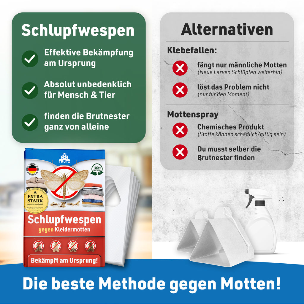 Schlupfwespen gegen Kleidermotten