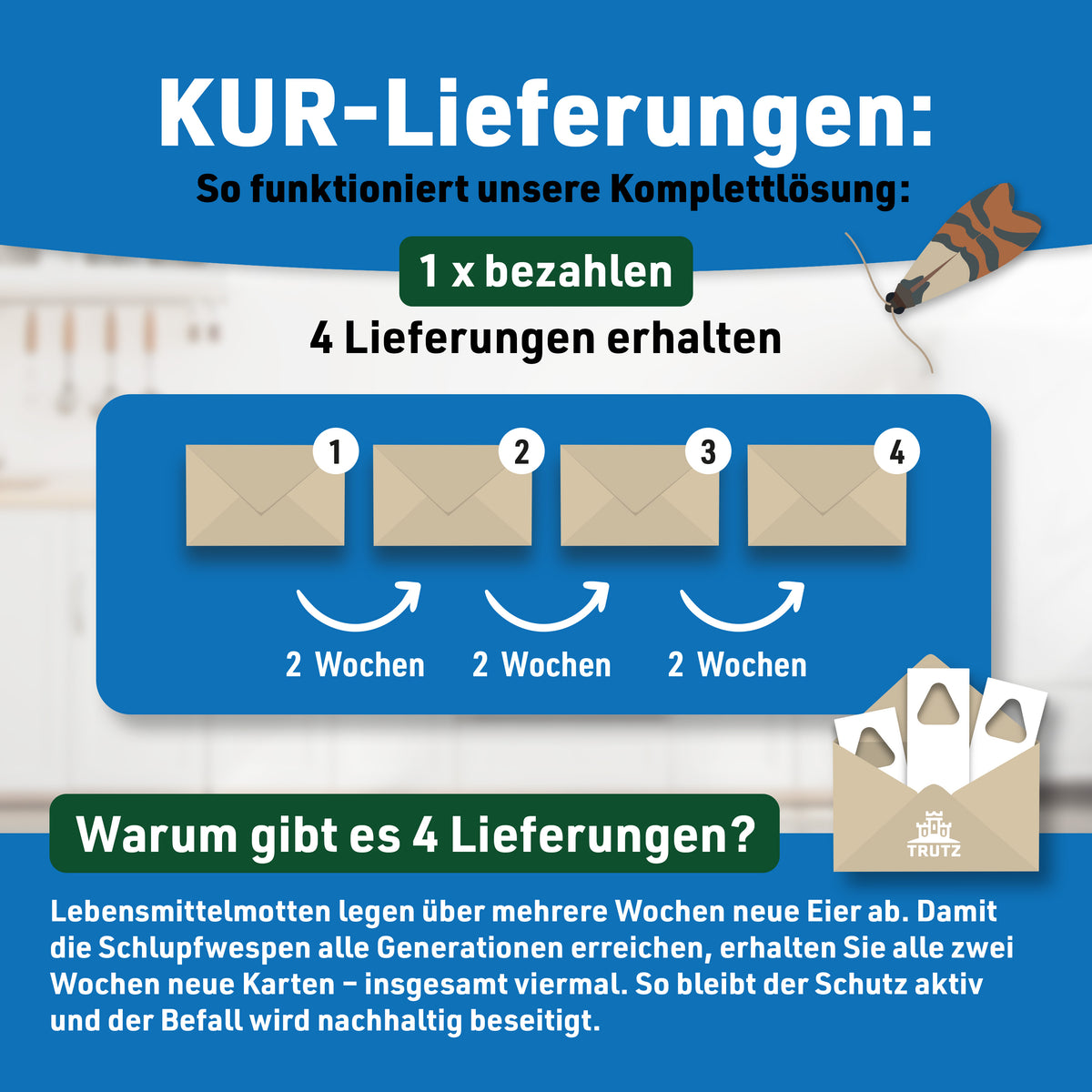 Schlupfwespen gegen Lebensmittelmotten