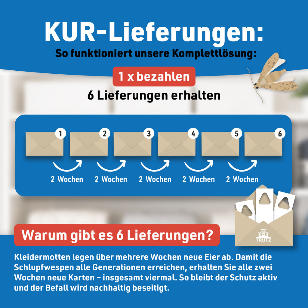 Schlupfwespen gegen Kleidermotten