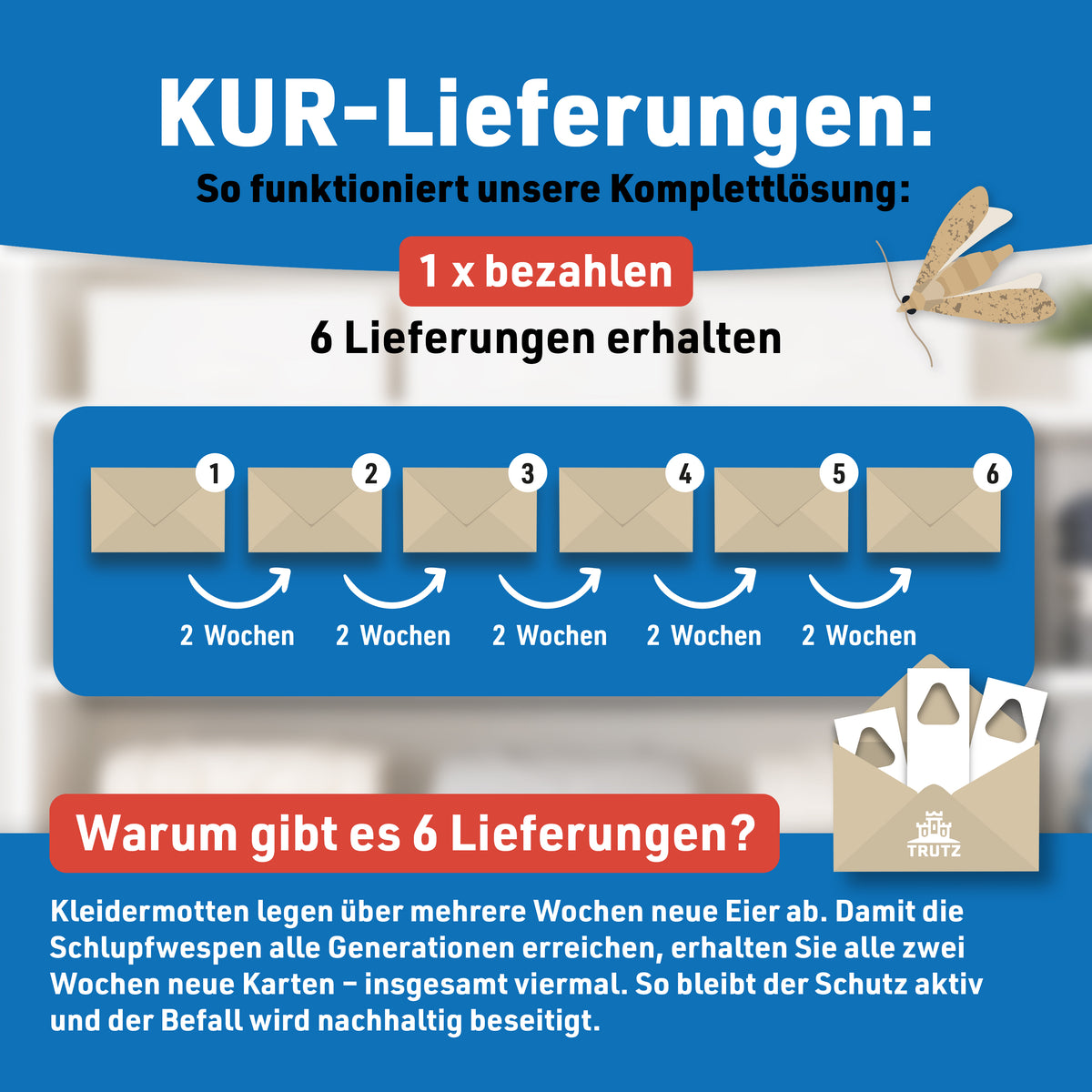 Schlupfwespen gegen Kleidermotten